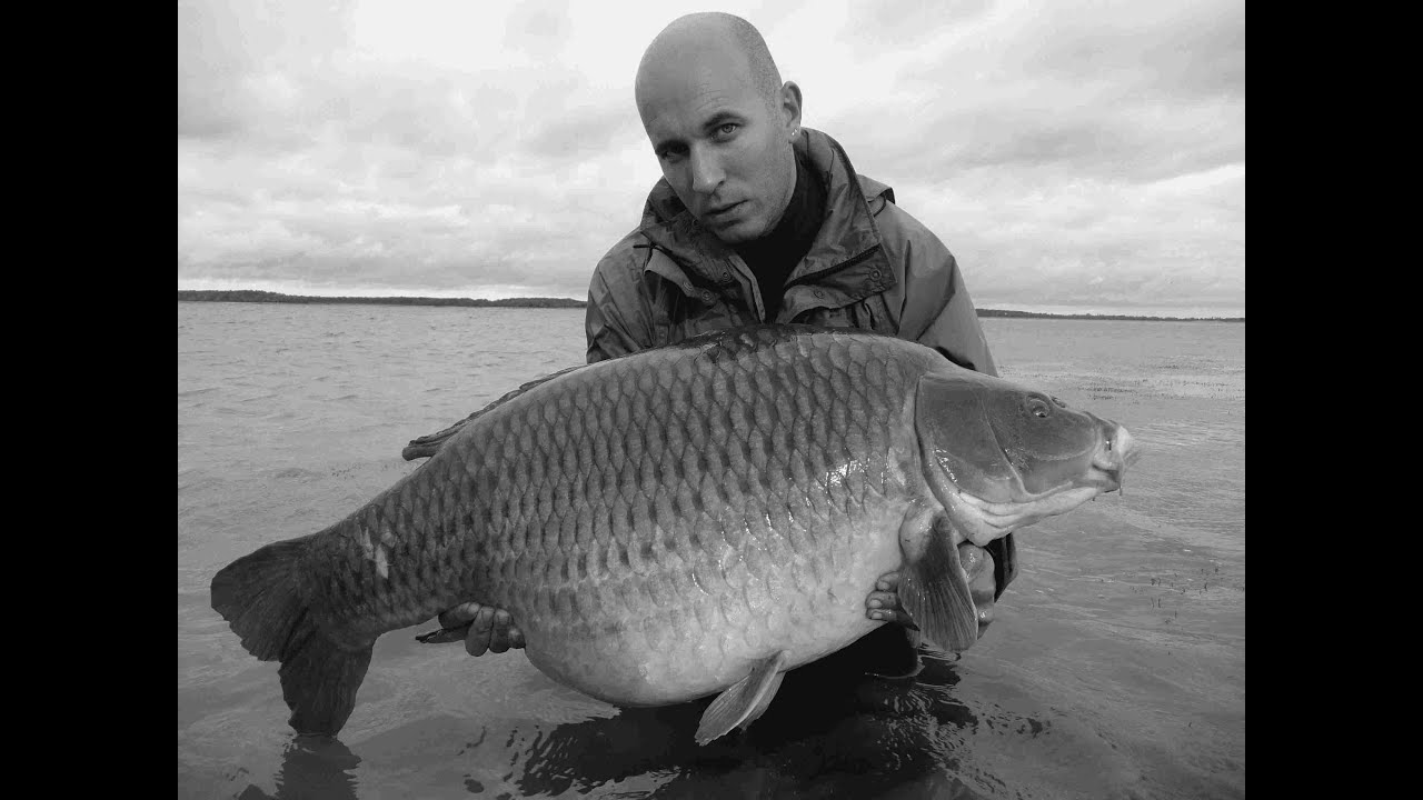 Lac de la forêt d'Orient, saison automnale en grand lac, carpfishing (pêche à la carpe)