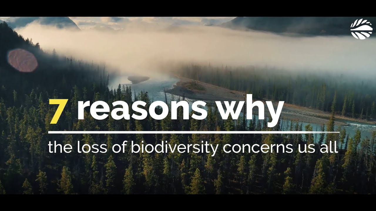 7 Reasons Why the Loss of Biodiversity Concerns Us All
