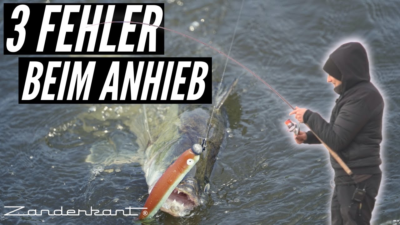 Deine 3 gr&ouml;&szlig;ten Fehler beim Anhieb auf Zander - so schl&auml;gst du richtig an!