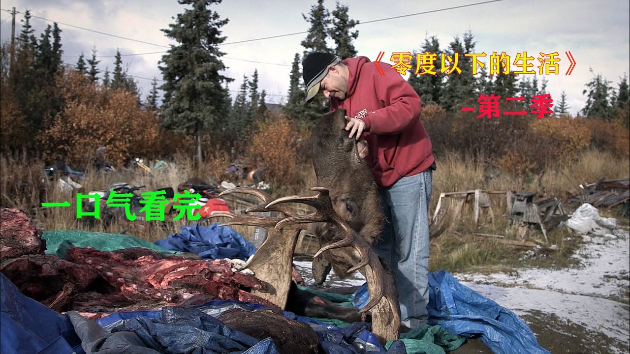 一口气看完，零度以下的生活第二季，打猎和捕鱼为主的生活