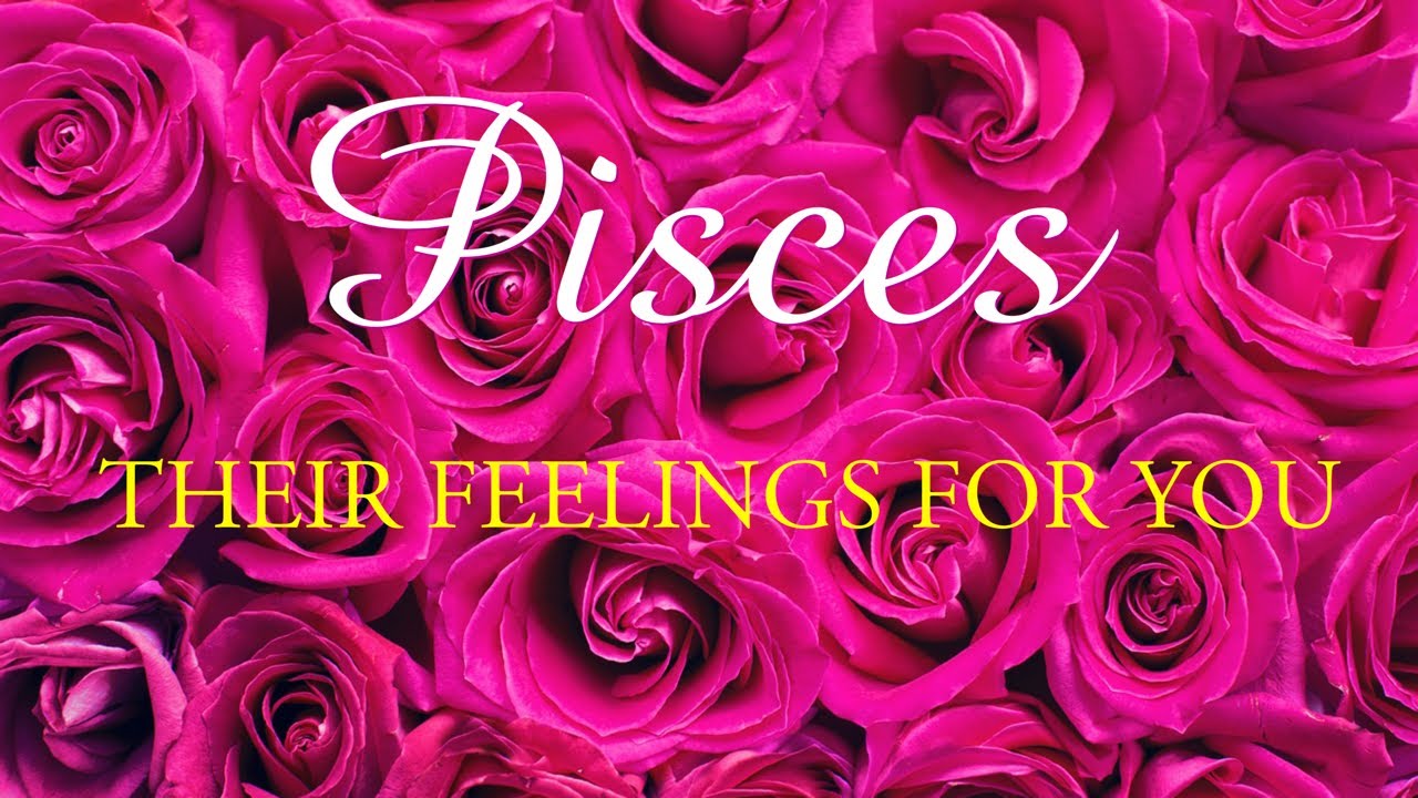 PISCES tarot love ♓️ The One Who Has Gone Quiet On You Will Reach Out. They Are Thinking About You