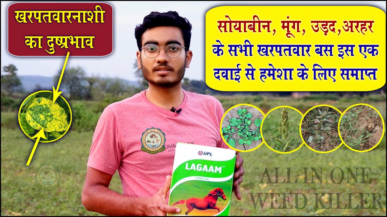 दलहनी फसलों का खरपतवार नाशक || Weed Killer || imazethapyr 10% SL || ABI || KST
