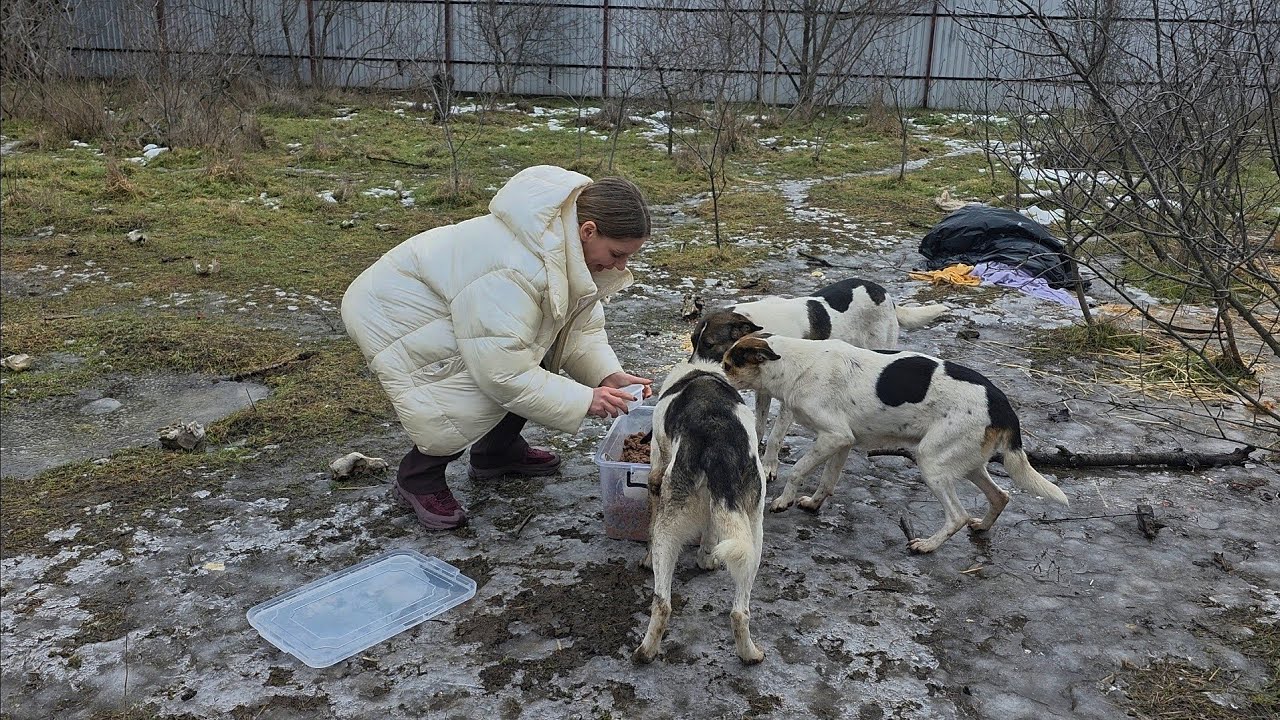 Cold, Mud, and Empty Bellies… Their Last Hope Was in a Container