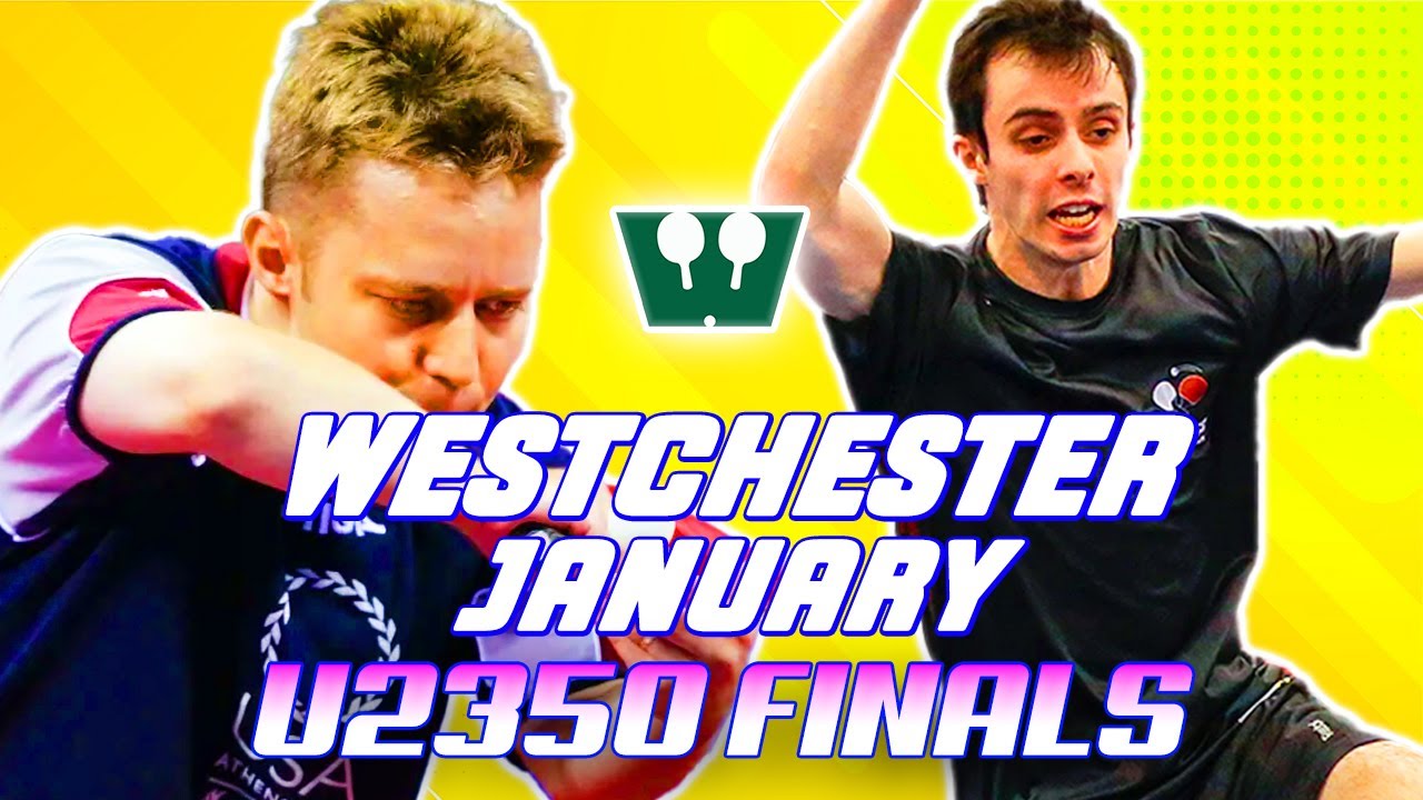 Tahl Leibovitz Vs. John McDermot. Westchester Table Tennis Center January U2350 Final.