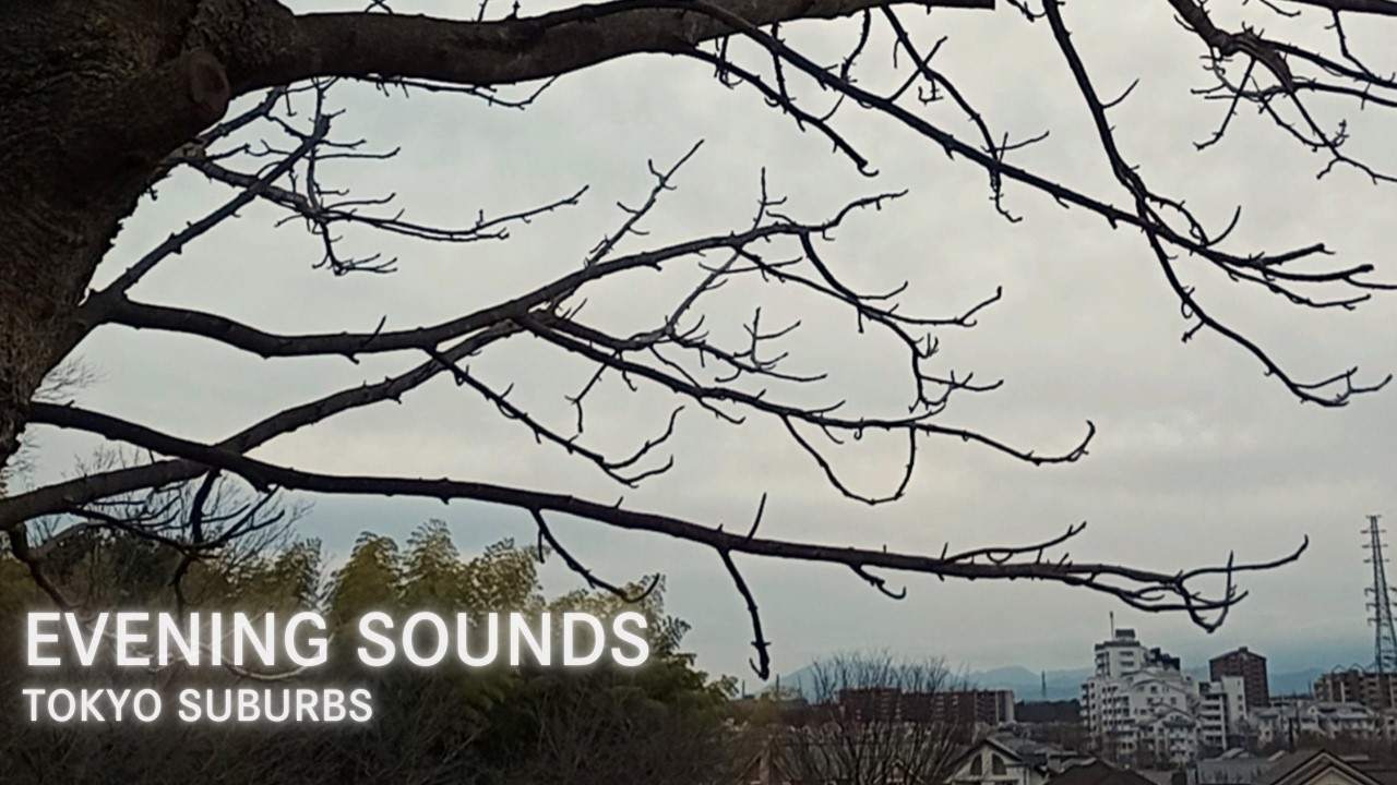 What a Real Evening Sounds Like in Japan | Urban Neighborhood Ambience