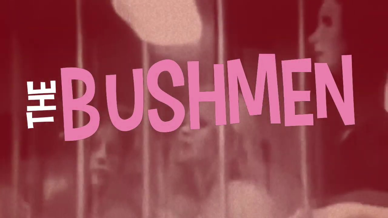 The Bushmen -  Self Titled LP - On CD or White Vinyl (Down Home Girl)