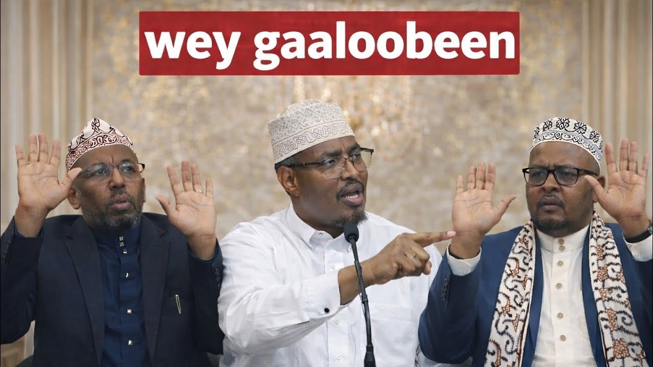 wey gaaloobeen sh xassaan oo gaalrysiiyey cd walba oo dastuur dajiisata