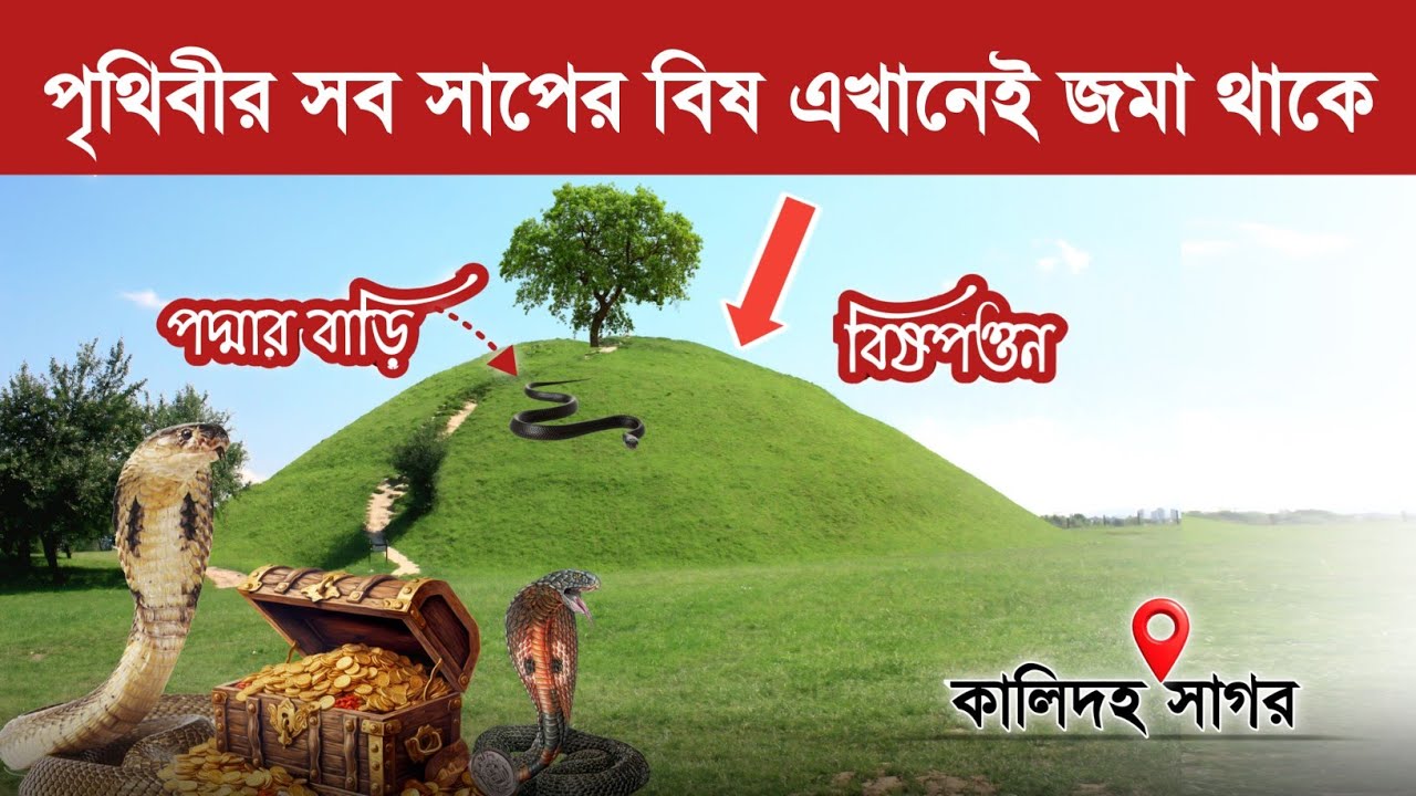 বিষাক্ত গ্রাম বগুড়ার বিষপত্তন যে খানে জমা থাকে সব সাপের বিষ | কালিদহ সাগরের ভয়ানক ইতিহাস |