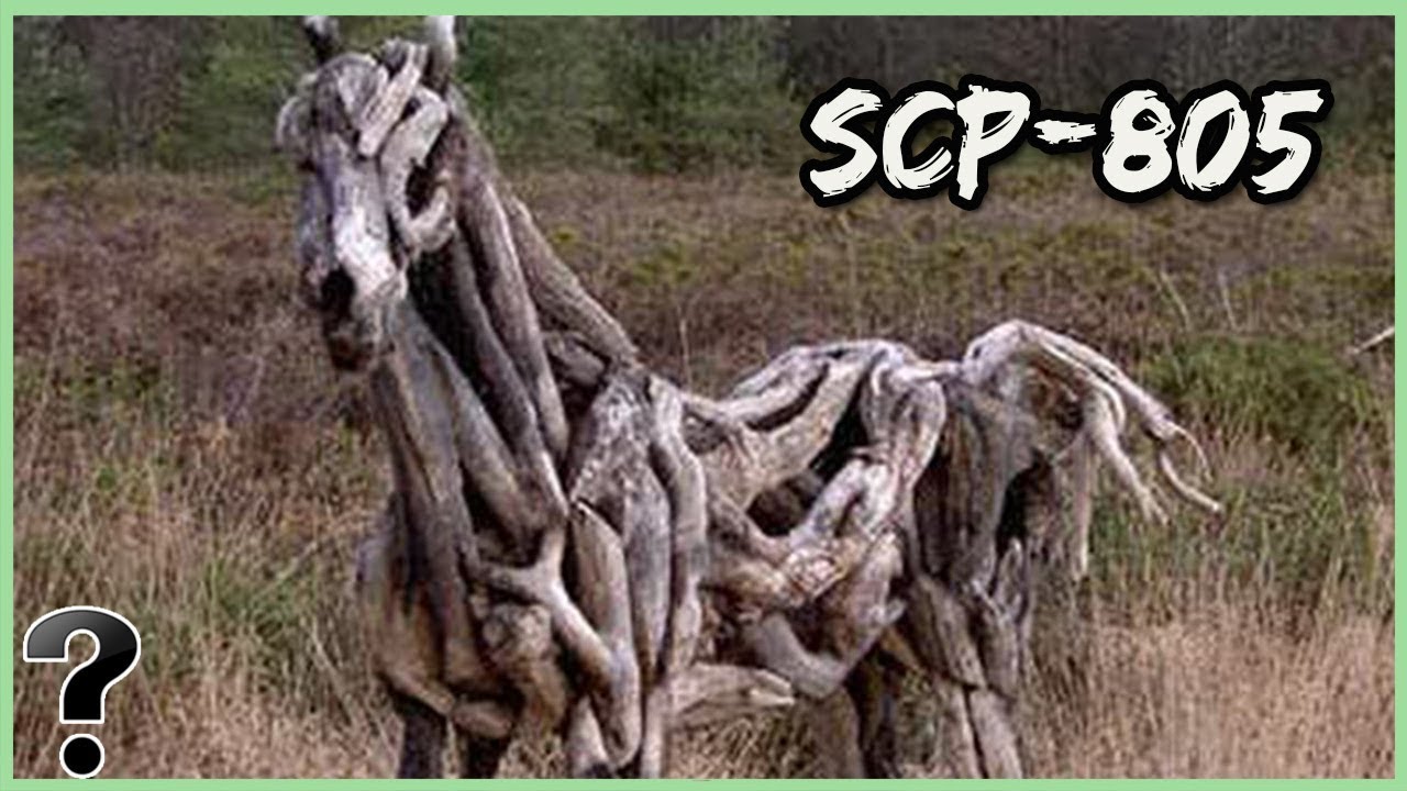 What If SCP 805 Was Real?