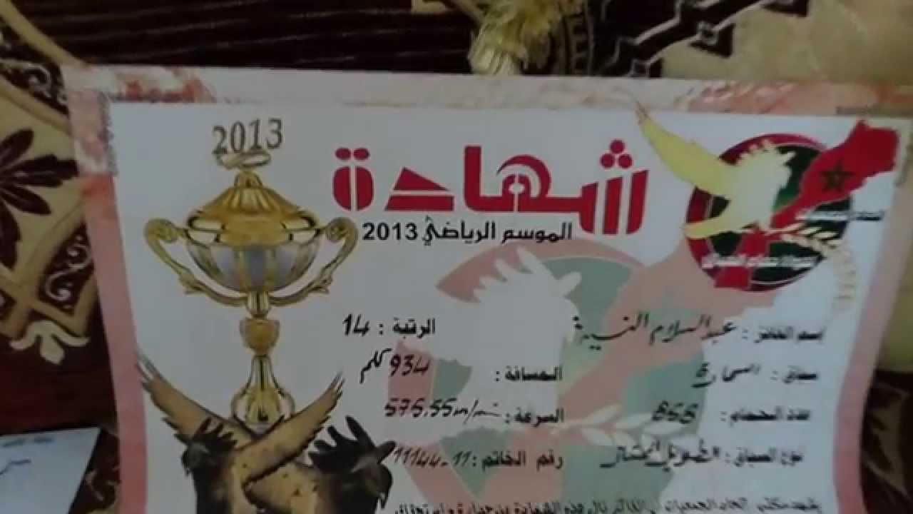 Ismail B chez Haj Nia  le 01 10 2014 Association Essalam Salaoui des pigeons de courses  Voir les Pé
