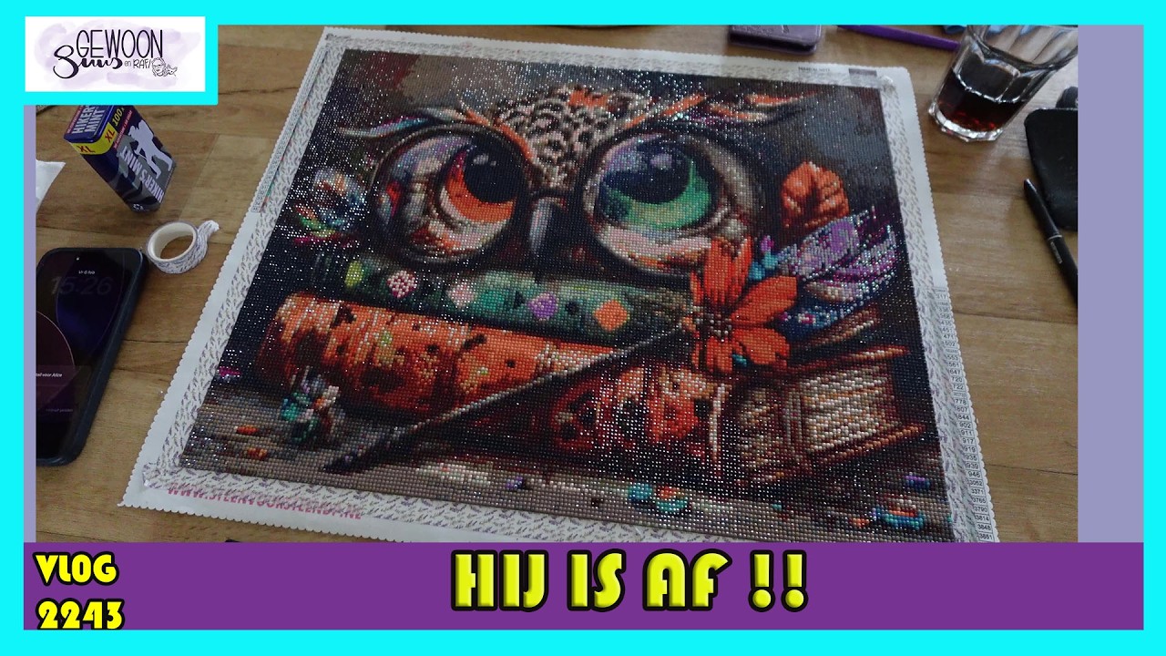 De EERSTE uil paint is AF!! | vlog 2243