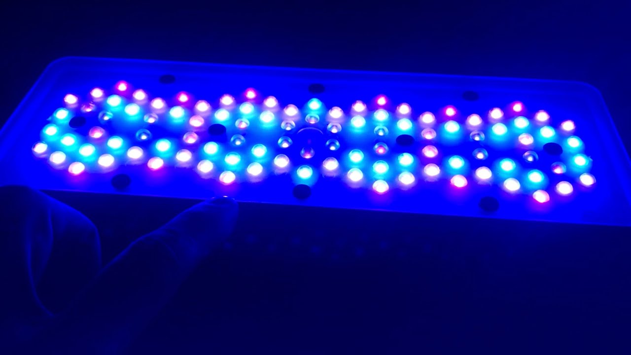 Repair Fan Radion XR30 G6 Blue, i'm love Radion G6