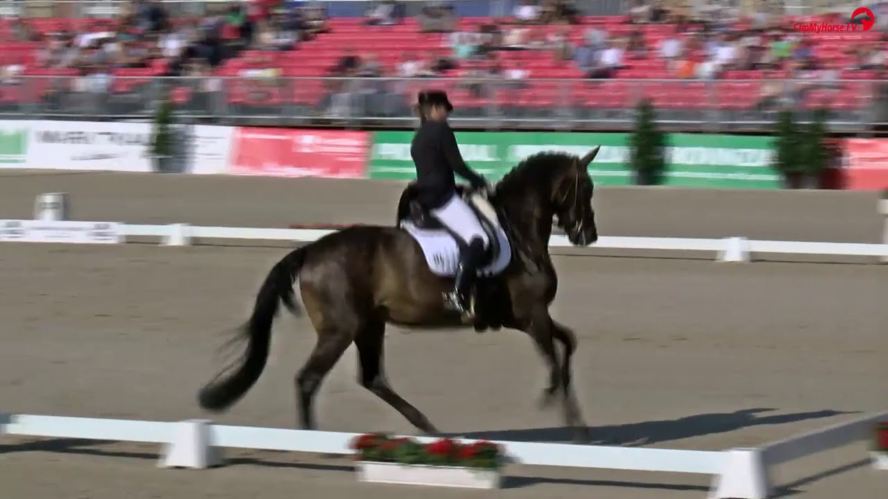 Dorothee Schneider | Rock'n Rose |&nbsp;Grand Prix Special&nbsp;|&nbsp;Turnier der Sieger 2017
