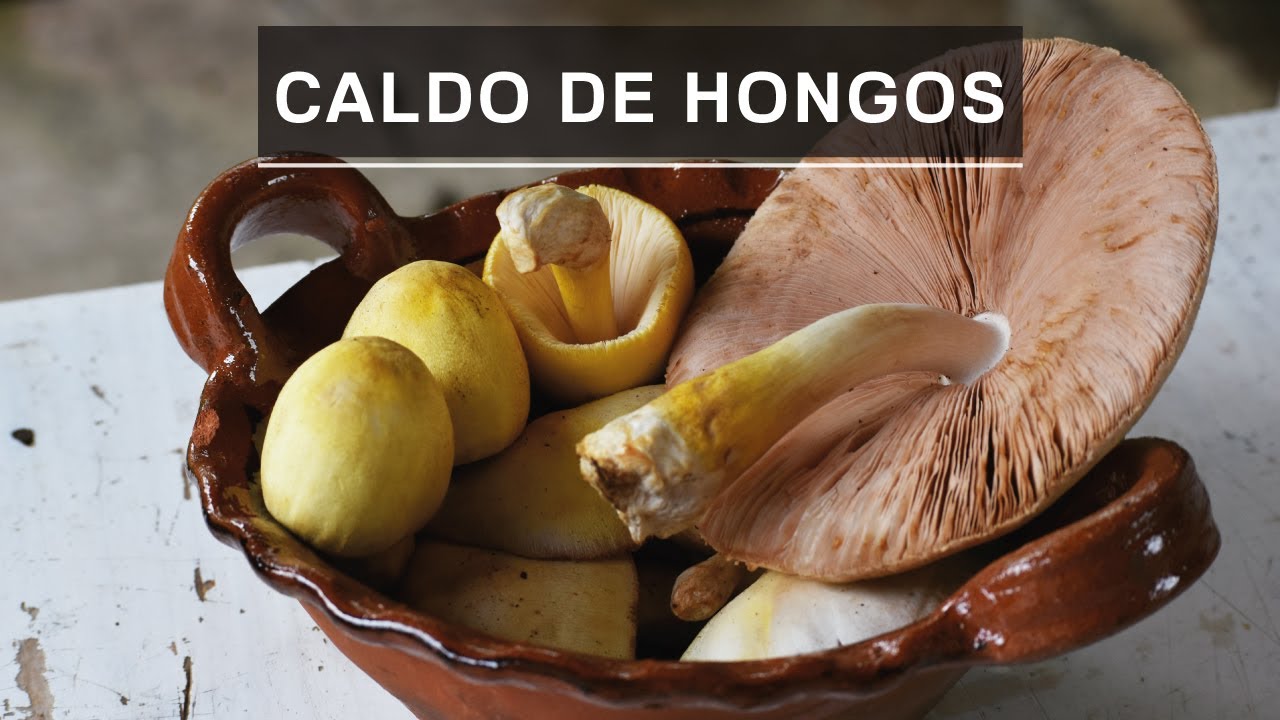 🍄 HONGOS DE CAZAHUATE EN CALDO ROJO