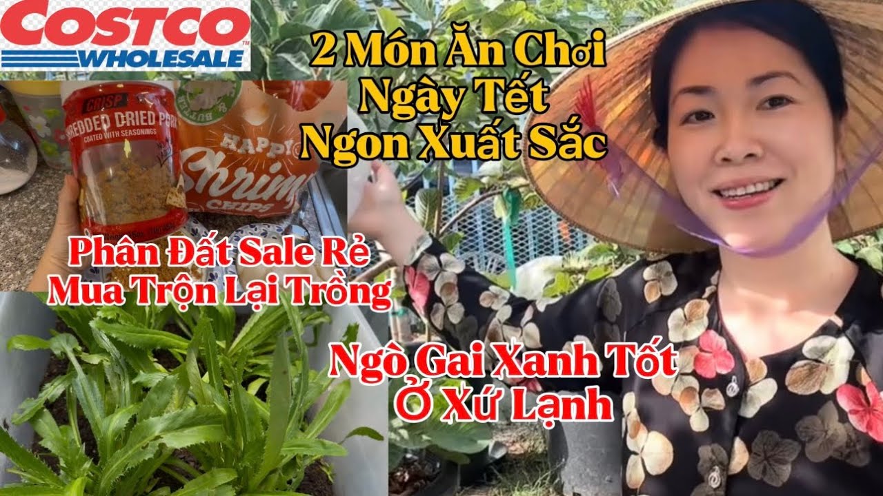 Costco Món Mới Ngon Ăn Chơi Ngày Tết, Phân Đất Sale Rẻ Mua Về Trộn Trồng Ngò Gai Tốt