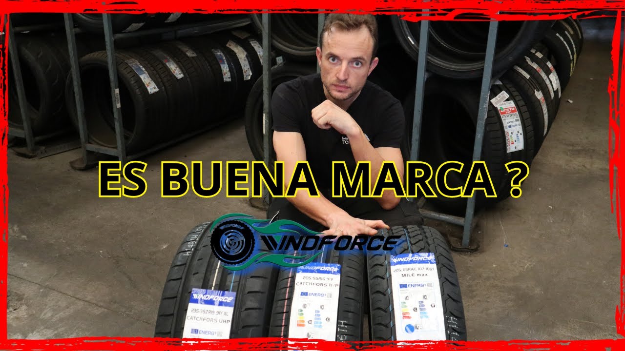 🚨¿MONTARIAS NEUMATICOS WINDFORCE EN TU COCHE? LINEA ECONOMICA | TODA LA GAMA DE LA MARCA EN ESTE 🎥