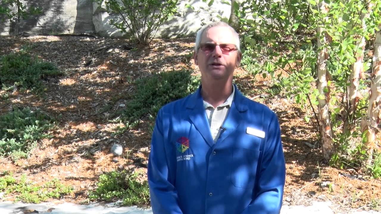 Green Initiatives - For Teachers