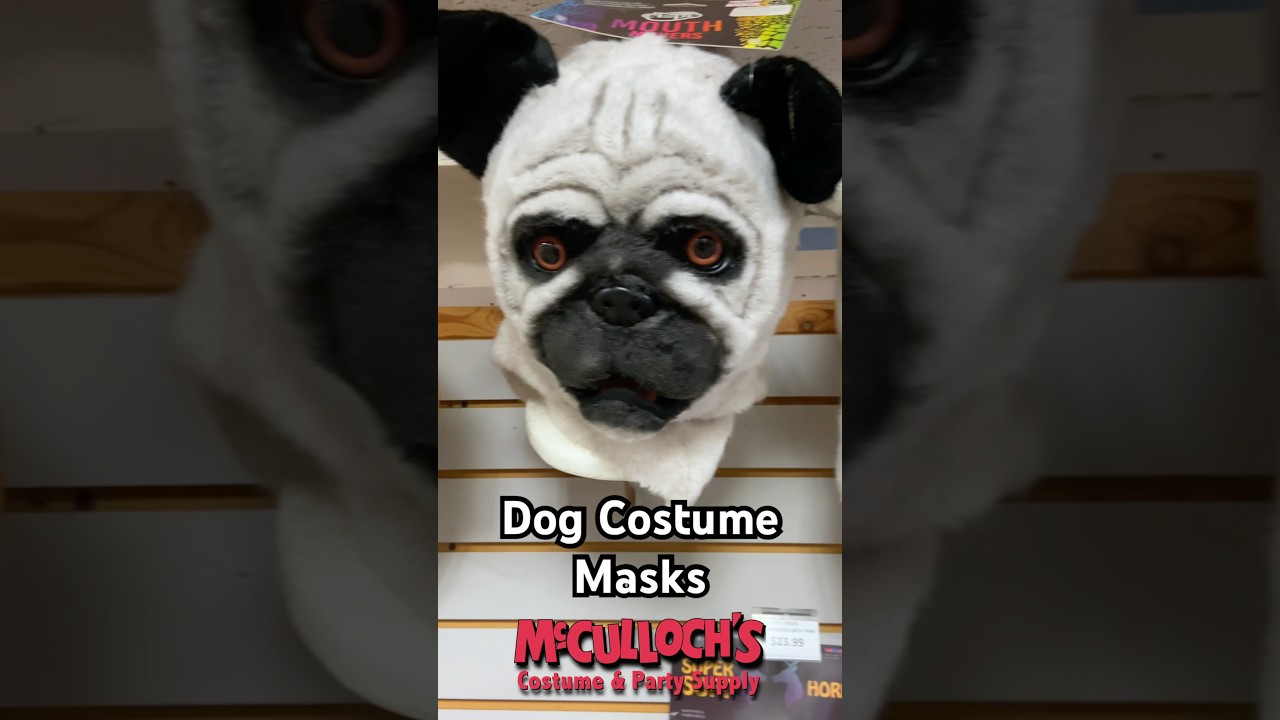 Awesome Dog costume masks. #shortvideo #costume #short