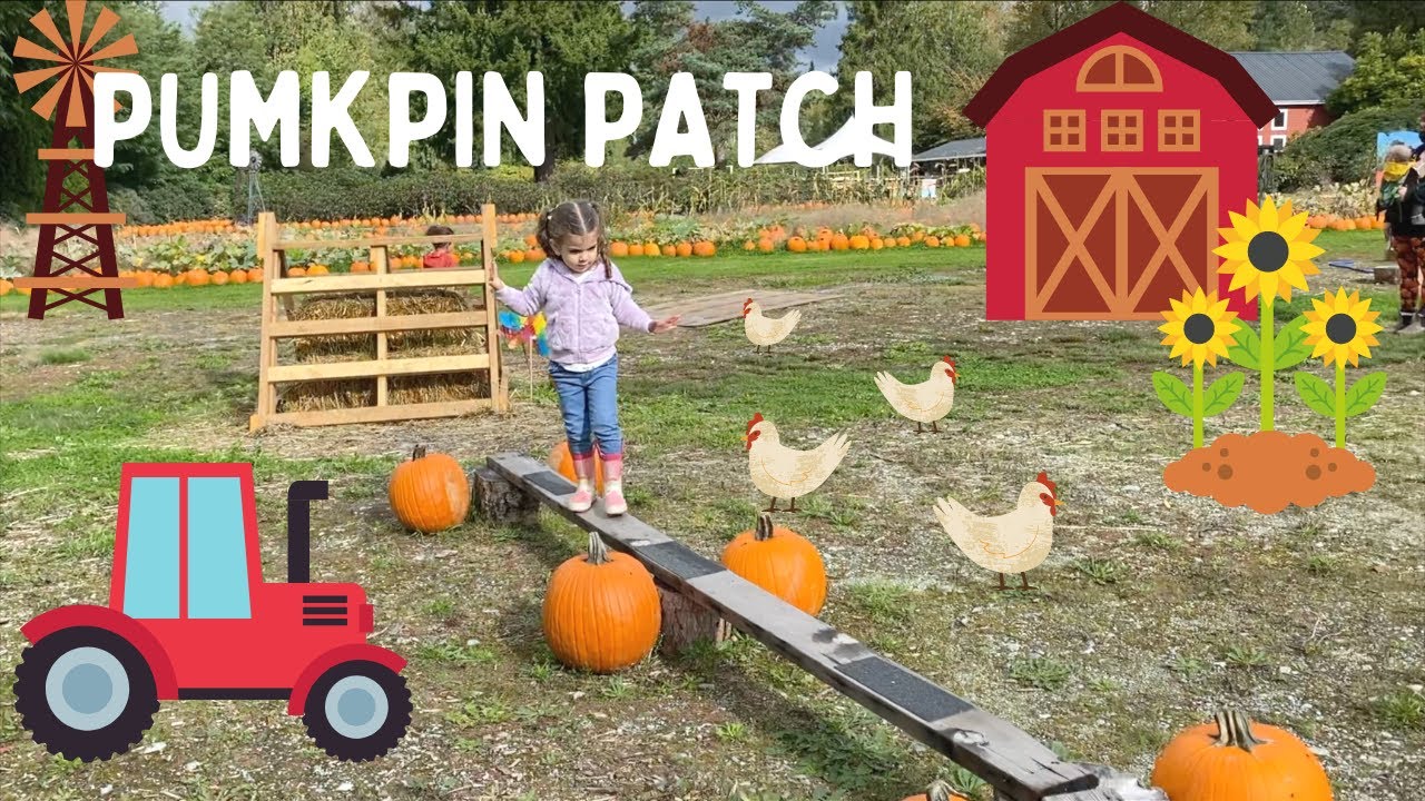 Field trip to the PUMPKIN PATCH! Maze, activities, tractor rides and much more!