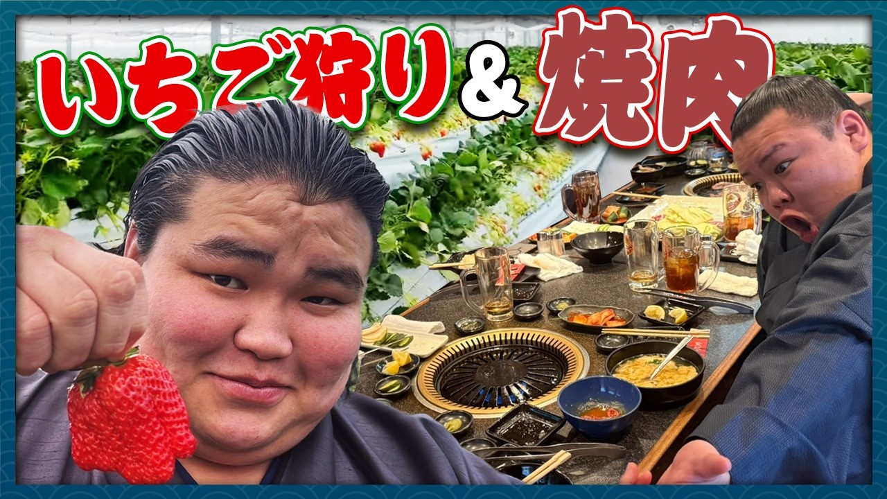 【密着】力士、休日にいちご狩り！？想像以上に癒された…🍓