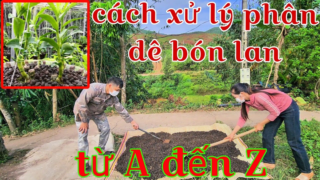 Chi tiết c&aacute;ch xử l&yacute; ph&acirc;n d&ecirc; kh&ocirc;ng bị tan vụn, c&aacute;ch xử l&yacute; ph&acirc;n d&ecirc; b&oacute;n lan