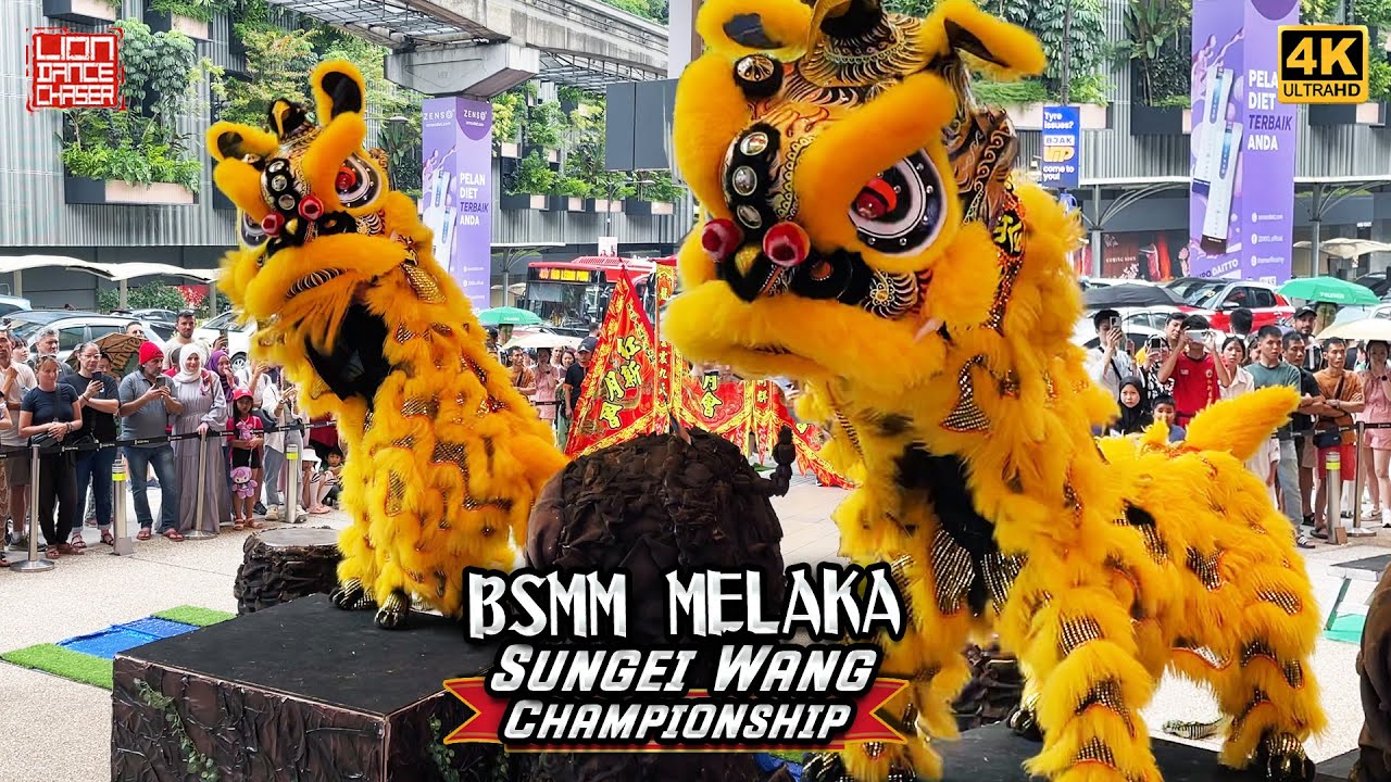 BSMM Melaka 马六甲马接峇鲁红新月会 - 3rd Sungei Wang Plaza Lion Dance Competition 第三届金河广场全国传统舞狮比赛