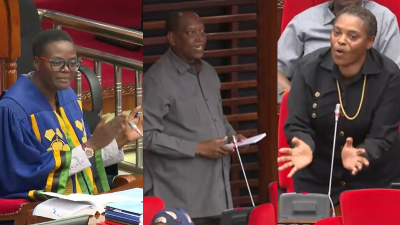 MABISHANO  BUNGENI: MSAMBATAVANGU VS SPIKA TULIA PROF KABUDI AINGILIA KATI 