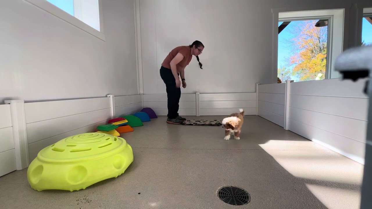 Rubi Training Session 10/27
