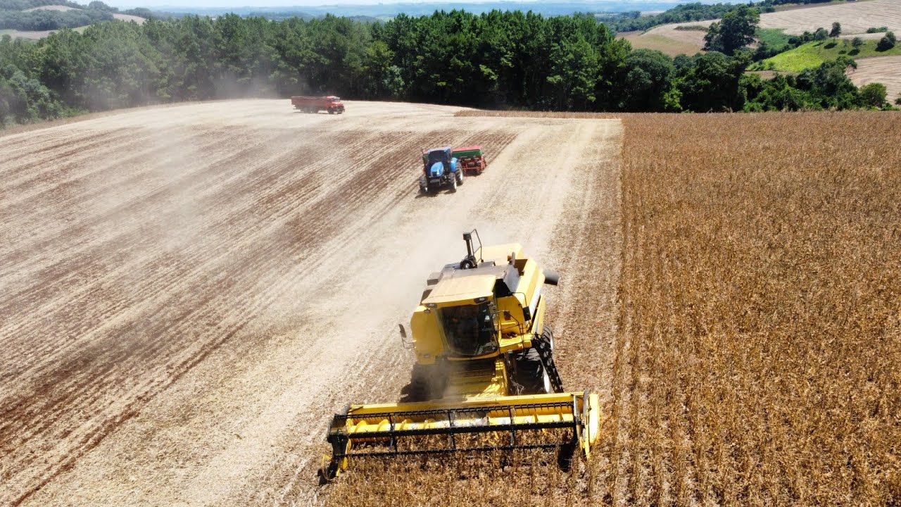 COLHEITA NA TERRA ARRENDADA ⚠️ Safrinha de MILHO Silagem 