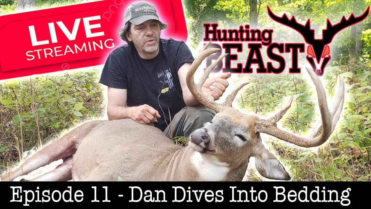 Dan Dives Deep Into Buck Bedding