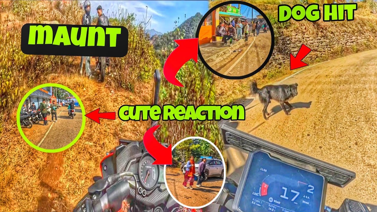 Cute Girl Reaction 🥰 Dog Hit Hote Hote Bach Gya🙂 Beautiful maunt🥰 Crezy Ride🥰