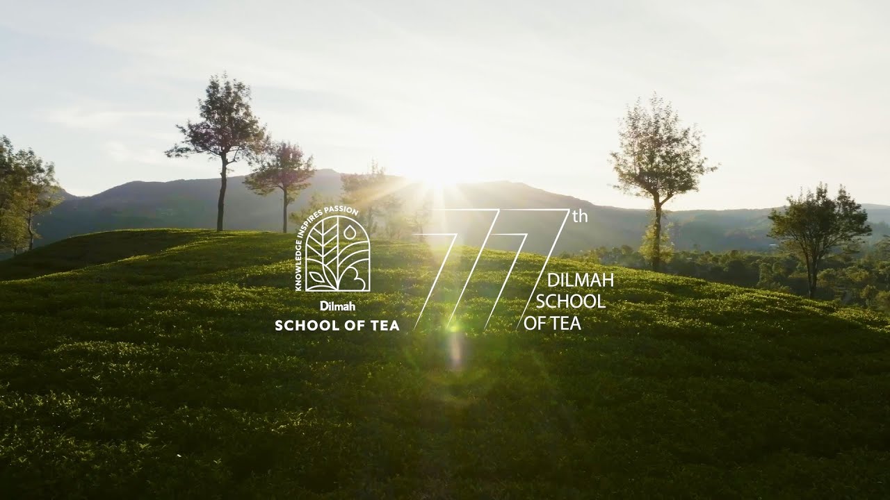 77th session of the Dilmah School of Tea