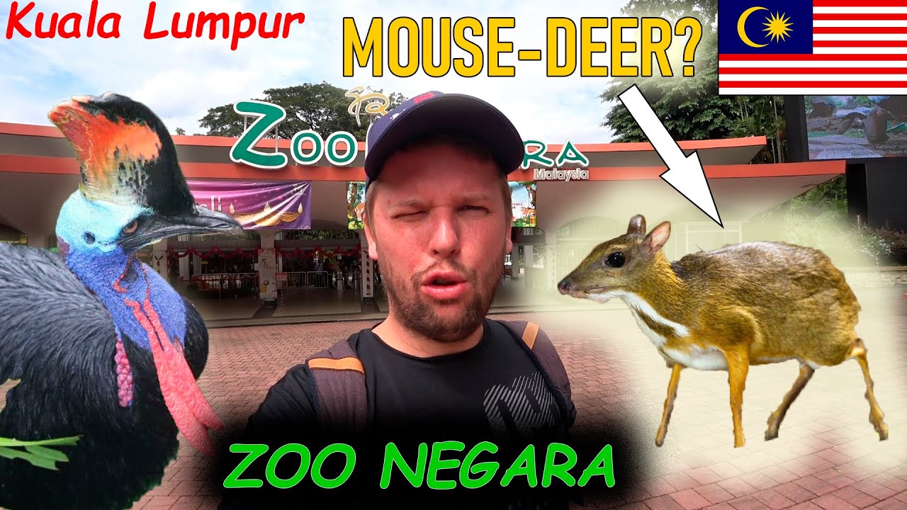 Weird animals in Malaysian ZOO | Kuala Lumpur 🇲🇾