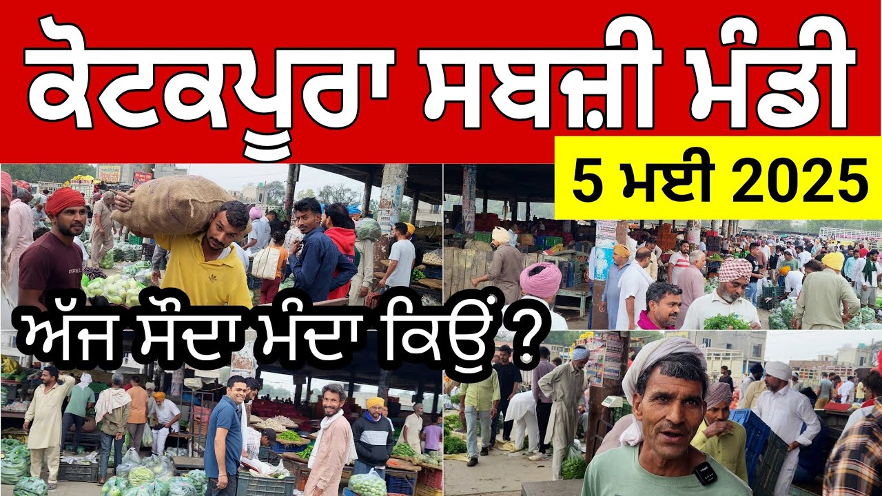 ਅੱਜ ਮੰਡੀ ਸੌਦਾ ਹੀ ਸੌਦਾ। ਟਮਾਟਰ ਹੋਏ ਤੇਜ਼ ਭਿੰਡੀ ਡਿੱਗੀ। ਕੋਟਕਪੂਰਾ ਸਬਜ਼ੀ ਮੰਡੀ। Kotkapura Sabji Mandi price
