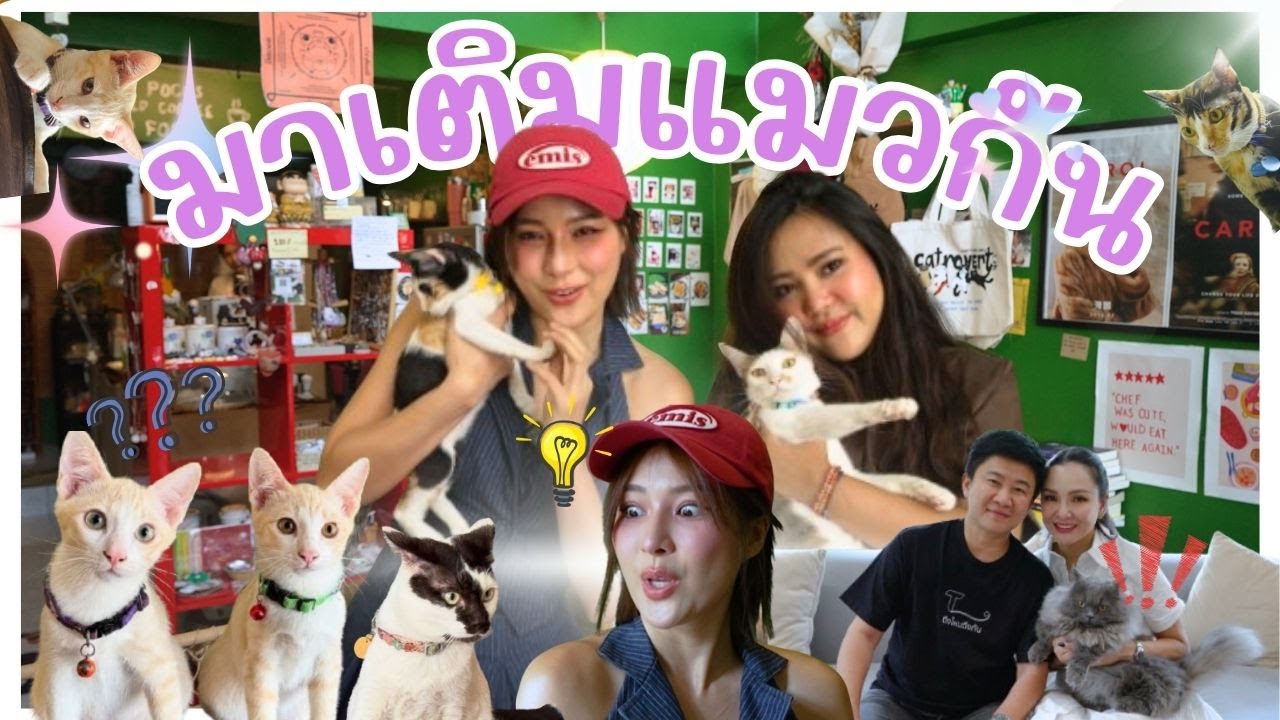 ถ้าร่างกายขาดแมว มาเติมแมวกัน  | Pet Lover by Jerhigh  Ep.36