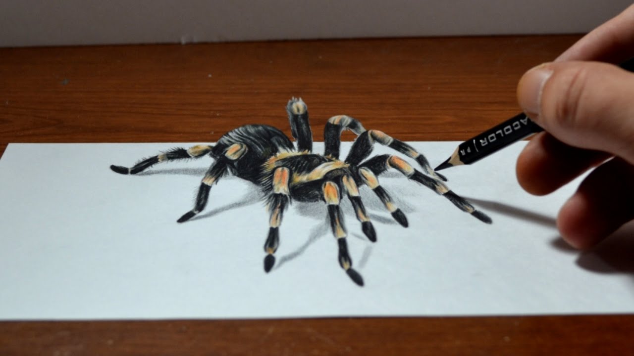Amazing Anamorphic Tarantula Drawing - Trick Art, 3D Realism