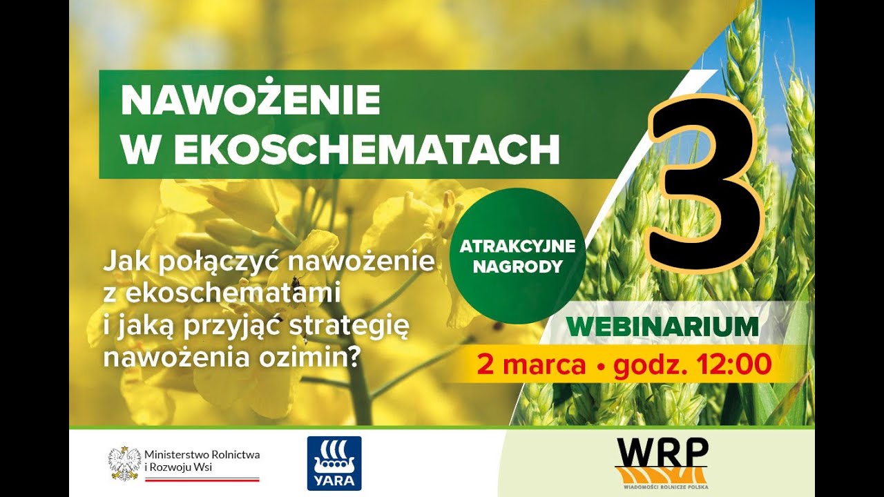 Jak nawozić oziminy w ekoschematach? Sprawdź, jaką przyjąć strategię nawożenia zb&oacute;ż i rzepaku