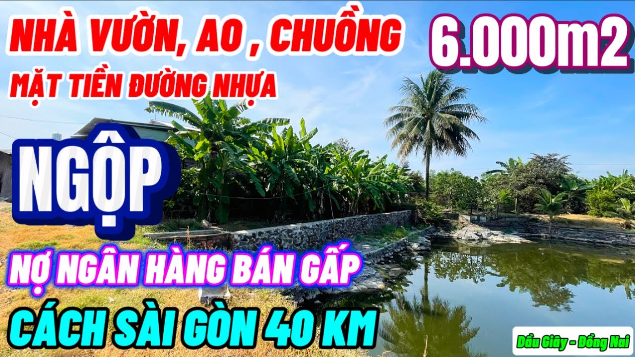 Nhà đất đồng nai. Ngộp ngân hàng hạ giá hơn 2tỷ bán gấp nhà vườn mô hình VAC mặt tiền nhựa phủ hồng