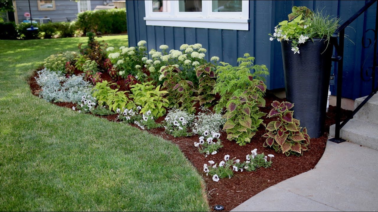 Flowerbed Makeover Start to Finish 🌿🌸