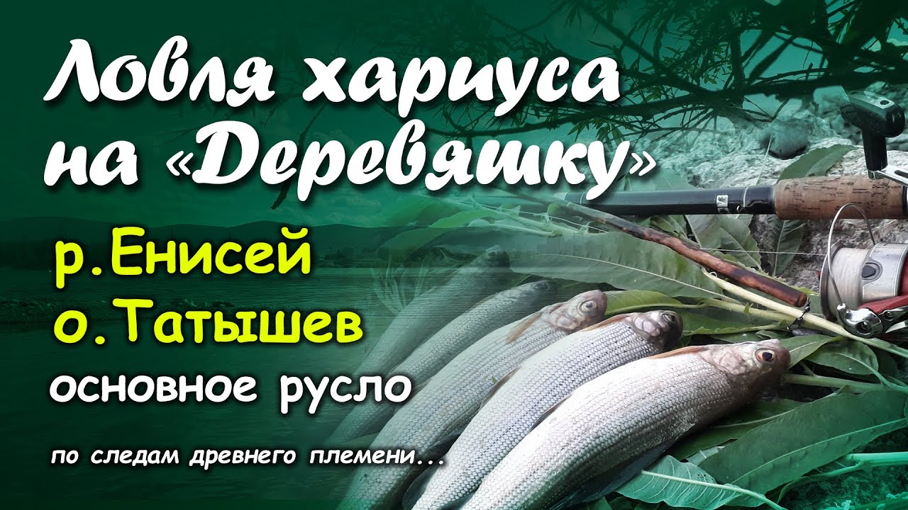 Ловля хариуса на 