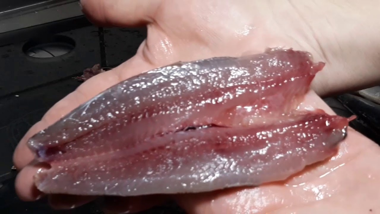 COMO FAZER FILÉ DE SARDINHA