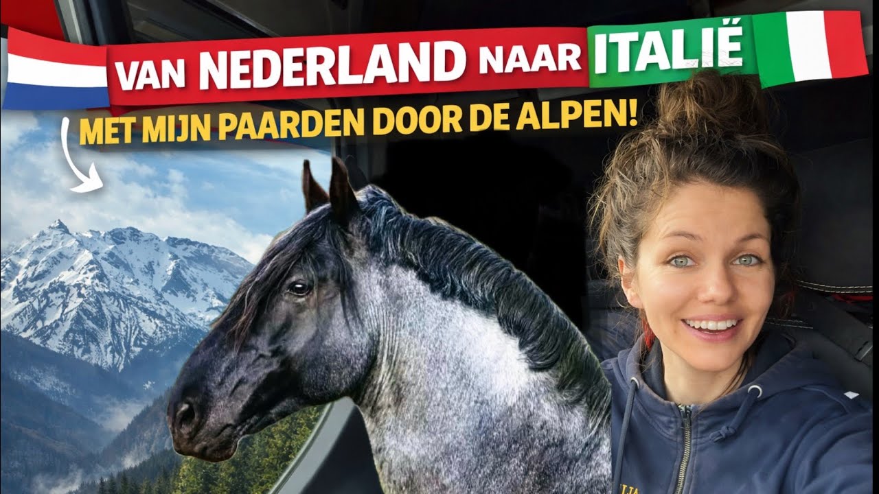 Mijn paarden TERUG naar ITALIË! 🇮🇹 | DEEL 1 Arezzo