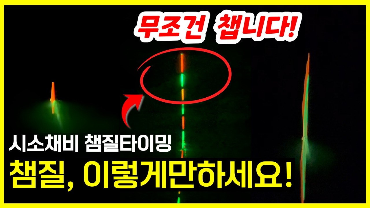 붕어낚시 입질 패턴에 따른 챔질 타이밍 알려드립니다! 헛잼질 줄이는 방법 대공개