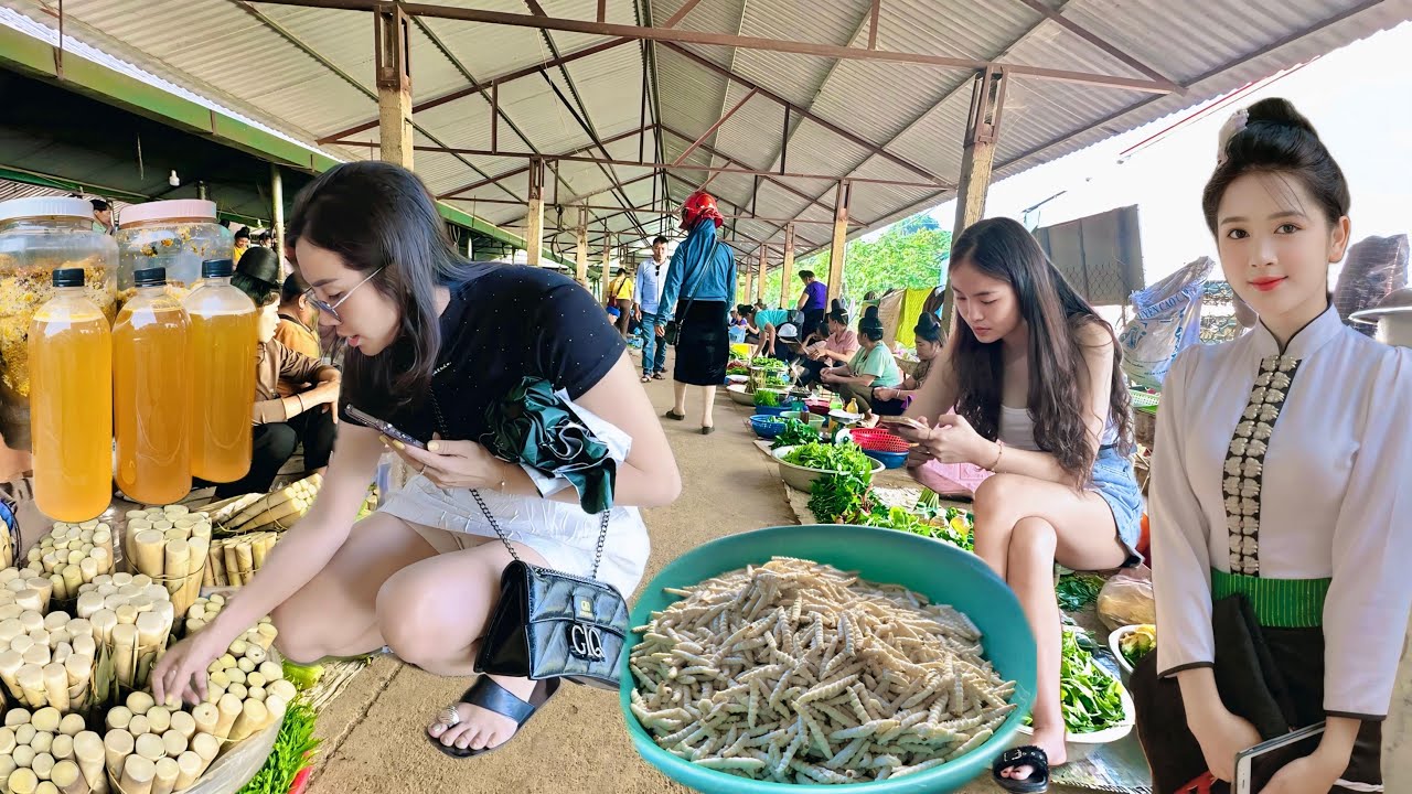 КРУПНЕЙШИЙ РЫНОК НАСЕКОМЫХ НА СЕВЕРО-ЗАПАДЕ С БЕСЧИСЛЕННЫМИ И СТРАННЫМИ ВЕЩАМИ
