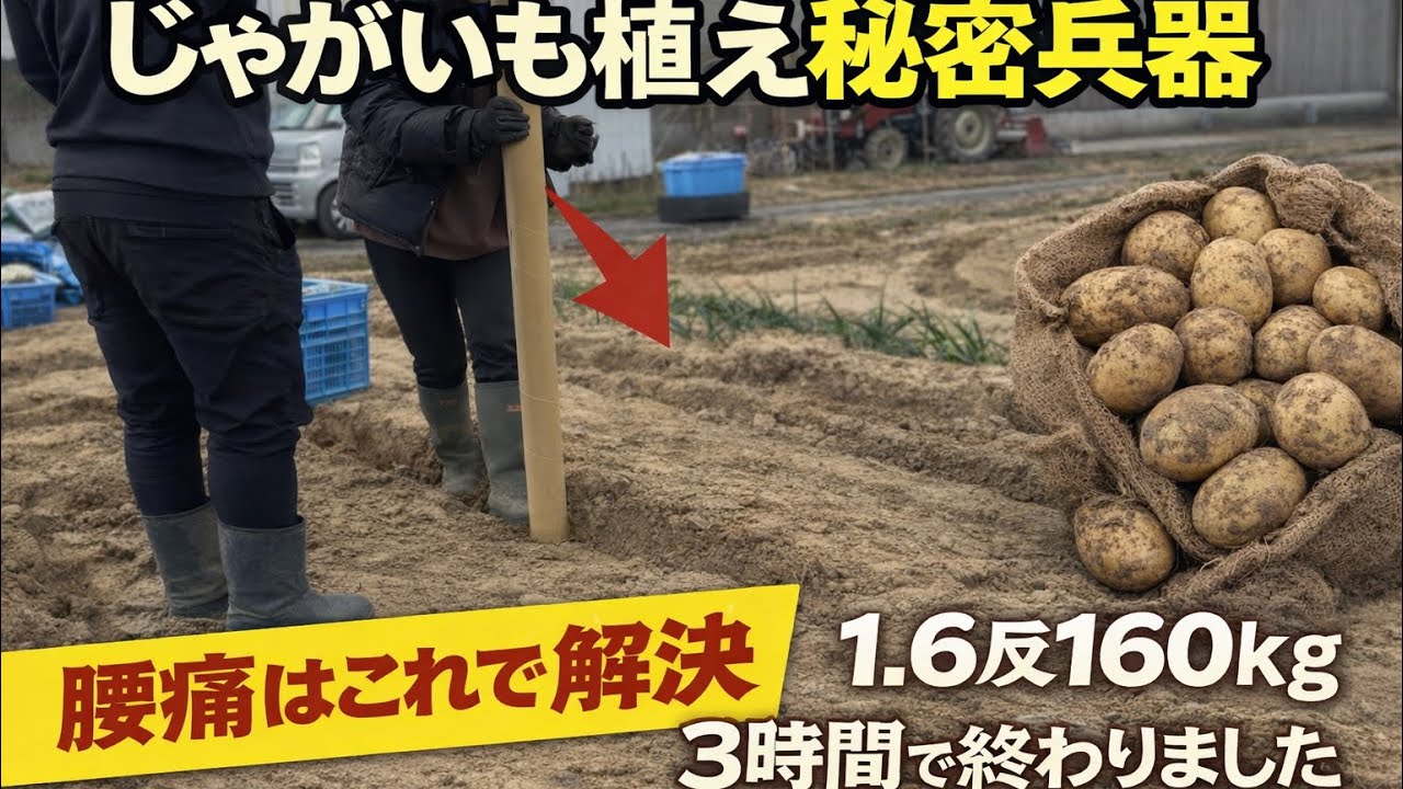 じゃがいも植えの秘密兵器！1.6反160kgを3時間で完了｜腰痛対策にも最強だった2/14