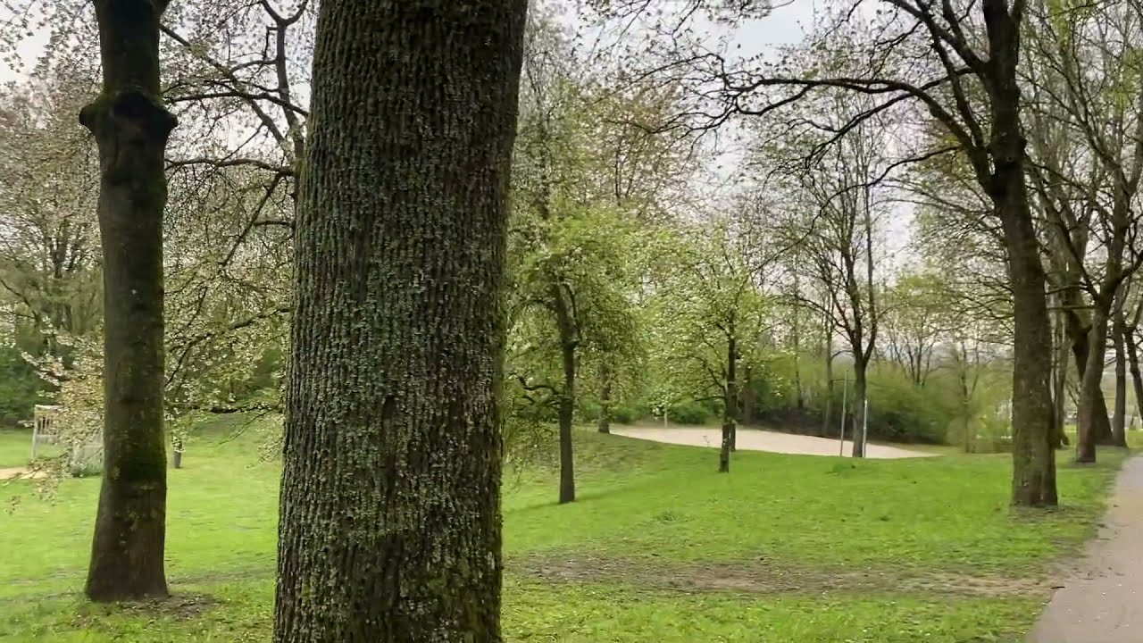 هوره چر عبدالعزیز حیدری در سن ۲۷ سالگی