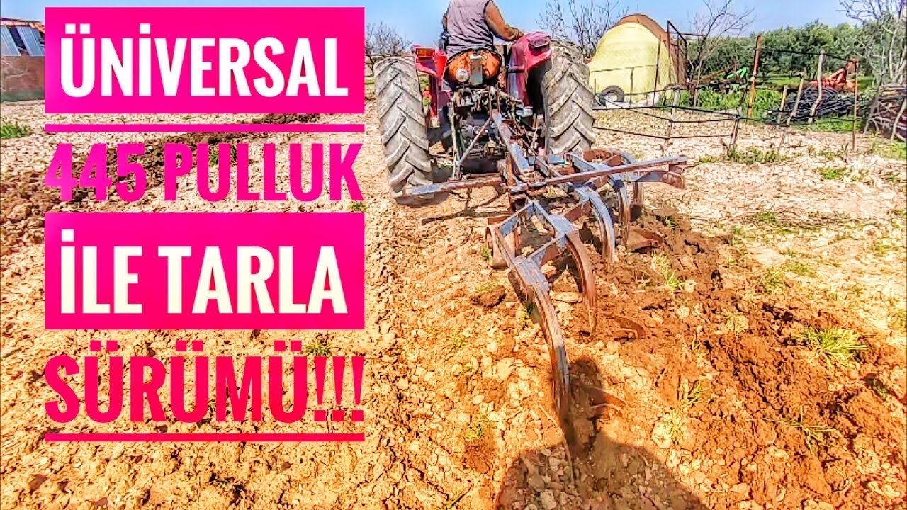 ÜNİVERSAL 445 İLE 5'Lİ PULLUK İLE ZEYTİN BAHÇESİ SÜRÜMÜ !!!