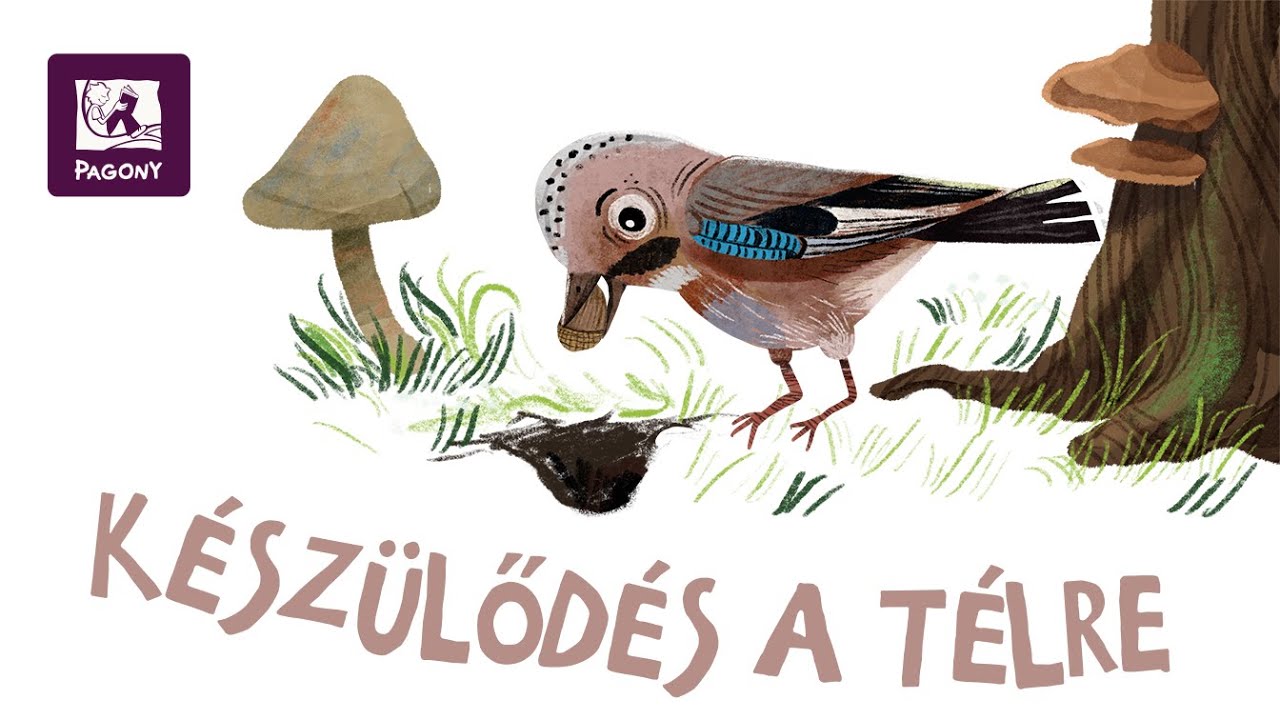 Czern&aacute;k Eszter: K&eacute;sz&uuml;lőd&eacute;s a t&eacute;lre (Cserebere az erdőben)