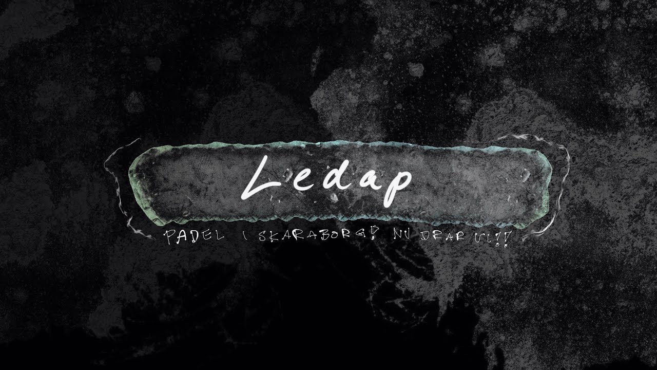 LEDAP FINAL Johan Andersson Anton Johansson vs Alush Jusufi Thomas Larsson