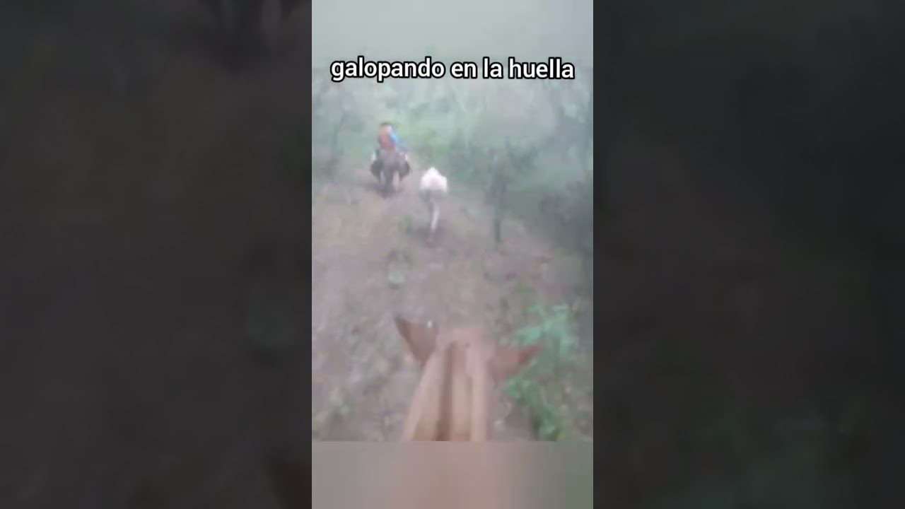 RECUERDO DE UN CORREDOR CHACARERA EL ARISCO MORENO
